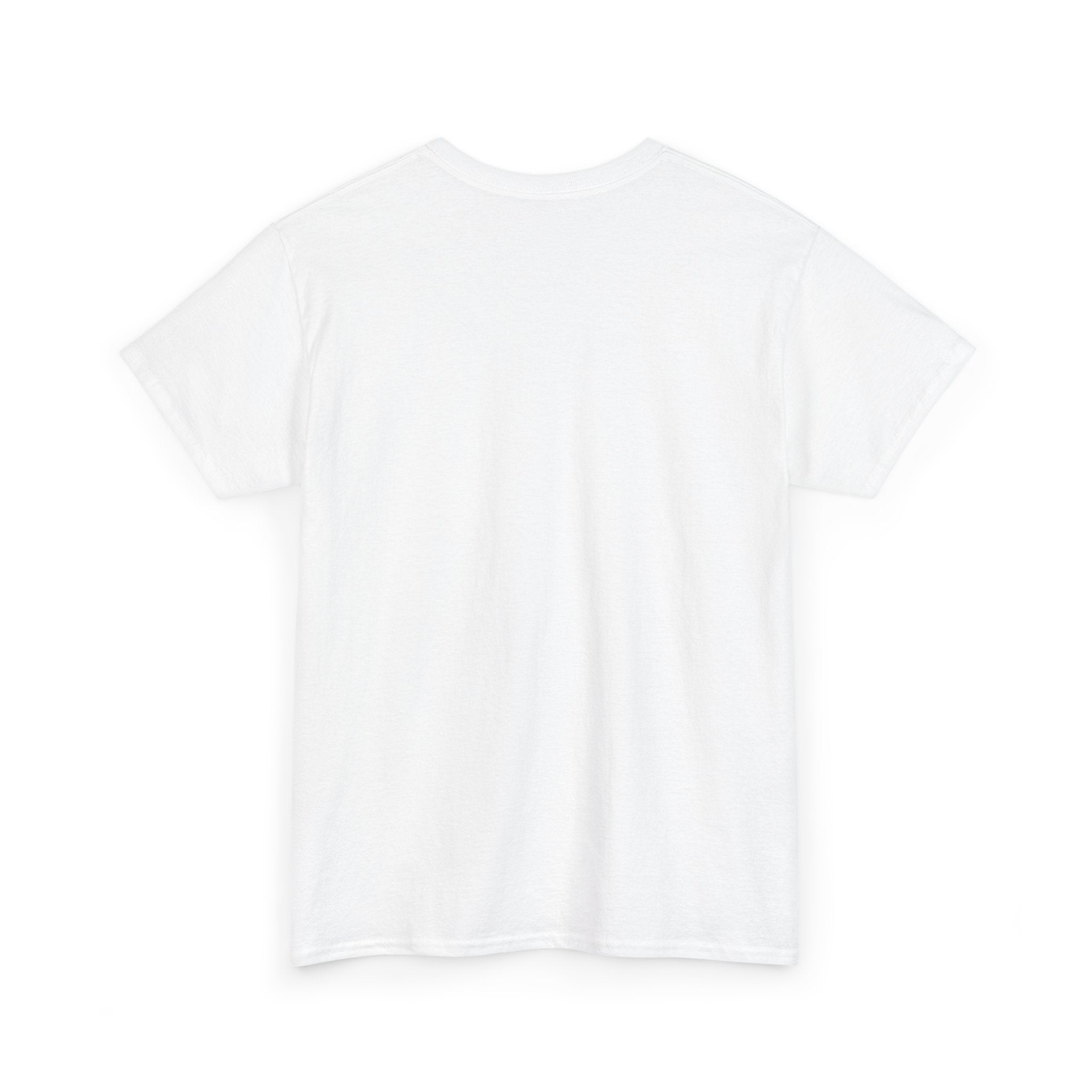 Alan Parsons Project Unisex T-shirt